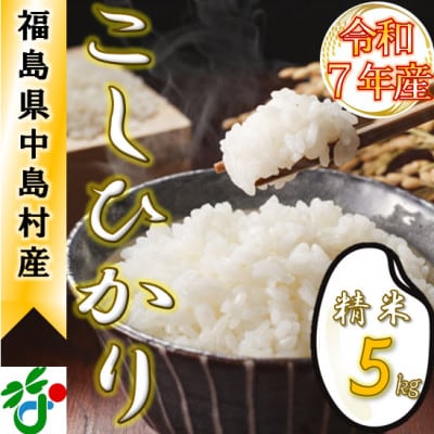 【数量限定/令和7年産】中島村産『コシヒカリ』(精米)5kg【1633130】