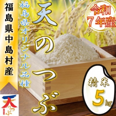 【数量限定/令和7年産】中島村産『天のつぶ』(精米)5kg【1633135】