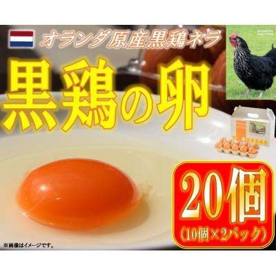 水野谷鶏卵店 黒鶏の卵 20個入り(Mサイズ)【配送不可地域:離島・沖縄】【1503066】