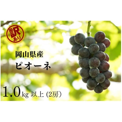 [2025年先行受付] 岡山県産 訳ありピオーネ 計1.0kg以上 2房 産直・朝採れ[配送不可地域:離島・沖縄]