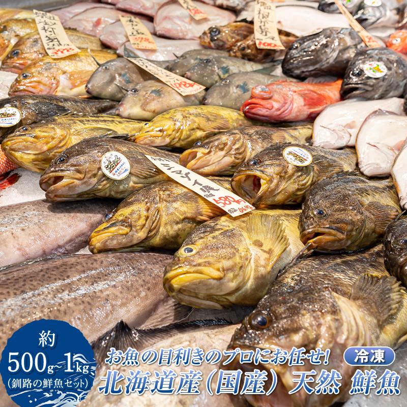 お魚の目利きのプロにお任せ！北海道産（国産） 天然 鮮魚 約500g～1kg（釧路の鮮魚セット）産地直送 冷凍 冷凍便 刺身 セット 鮮魚セット 鮮魚ボックス 魚介類 海鮮 絶品 人気 ヒロセ 北海道 釧路町 釧路超 特産品