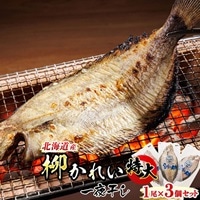 北海道産 特大 柳かれい 一夜干し 1尾×3個セット | おつまみ 焼魚 焼き魚 定食 魚 干物 セット ひもの 冷凍 人気の 訳あり! スピード発送 北海道 釧路町 釧路超 特産品 br02