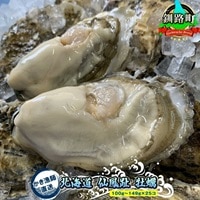 北海道 仙鳳趾名産 牡蠣 100g〜149g×25コ+かきナイフ付き かき漁師直送 K1-1 [センポウシ : 釧路町の東 厚岸湾の西 カキの名産地] | せんぽうし