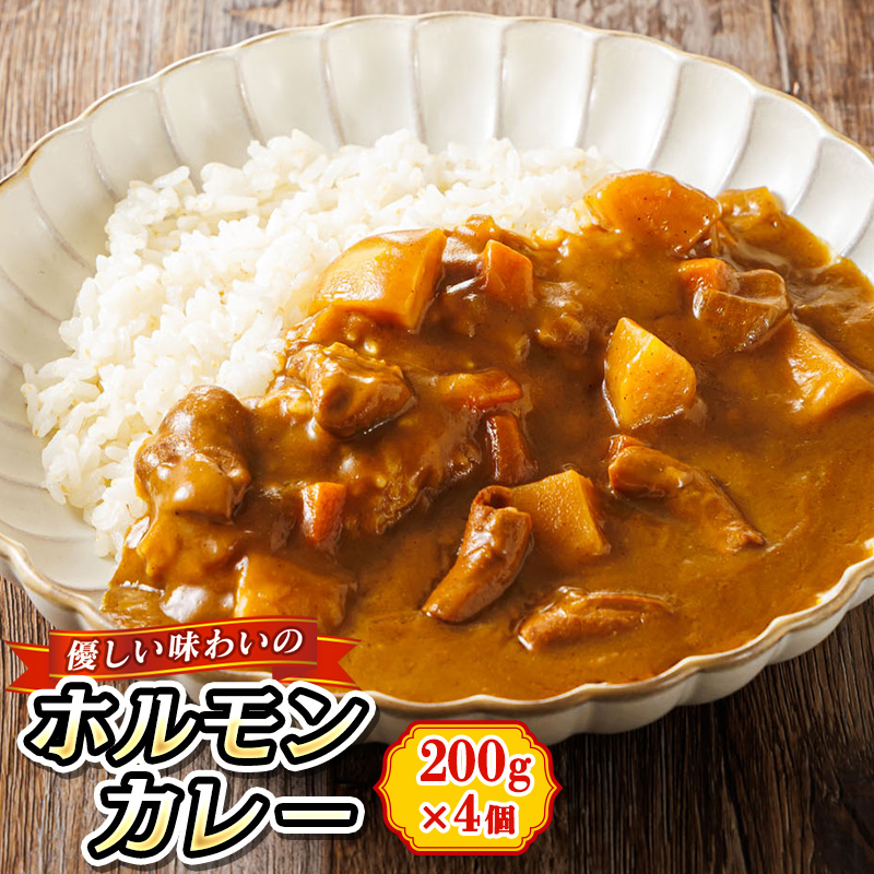 優しい味わいのホルモンカレー 200g×4個(箱) | ホルモン 昆布 だし ダシ レトルトカレー 備蓄 常備 保存食 避難食 防災食 森谷食品 年内配送 年内発送 北海道 釧路町 釧路超 特産品