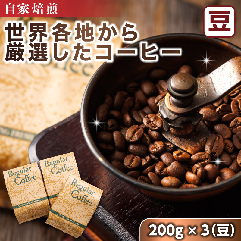コーヒー セット 200g×3個 豆 | 店主おまかせ プレミアム コーヒー豆 人気 コーヒー 珈琲豆 ベンデドール 珈琲 自家焙煎 北海道 釧路町 釧路超 特産品