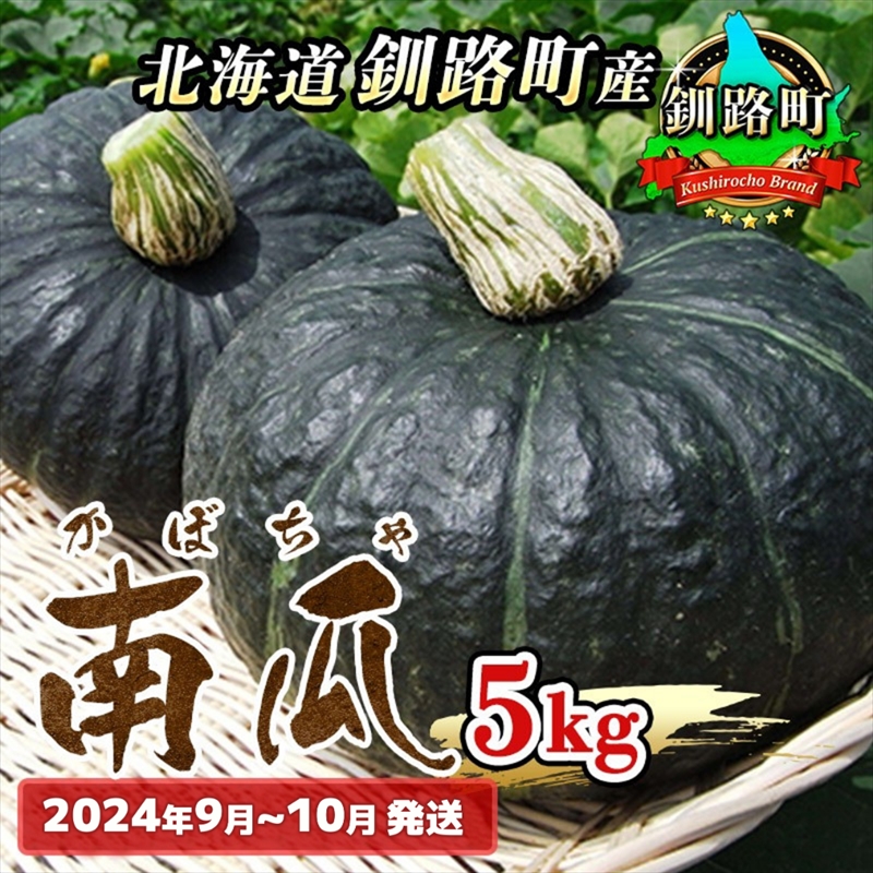 野菜王国 釧路町産 【かぼちゃ】5kg <2024年9月~10月発送> 国産 産地直送 旬 季節の野菜 詰め合わせ セット 北海道 釧路町 釧路超 特産品
