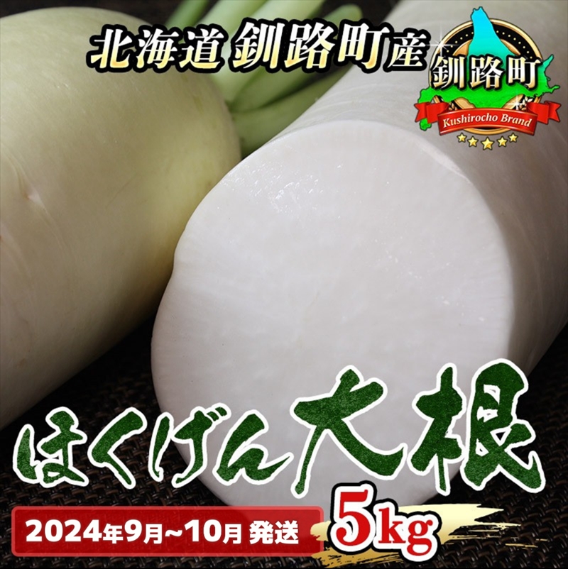 野菜王国 釧路町産 【ほくげん大根】5kg <2024年9月~10月発送> 国産 産地直送 旬 季節の野菜 詰め合わせ セット 北海道 釧路町 釧路超 特産品