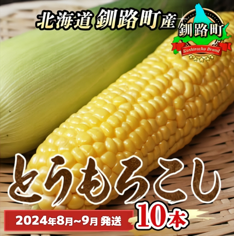野菜王国 釧路町産 [とうもろこし]10本 [2024年8月〜9月発送] 国産 産地直送 旬 季節の野菜 詰め合わせ セット 北海道 釧路町 釧路超 特産品