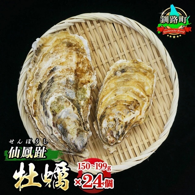 ＼先行予約/北海道 仙鳳趾名産 牡蠣 150g〜199g×24コ+かきナイフ付き かき漁師直送 K3-4[出荷時期:2025年7月1日ごろ〜順次出荷][センポウシ : 釧路町の東 厚岸湾の西 カキの名産地] | せんぽうし 牡蠣 生食用 殻付き br02