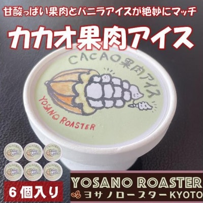 カカオ果肉入りアイス バニラアイスと甘酸っぱい果肉が相性バツグンのアイスクリーム 京都与謝野町より【配送不可地域:離島】【1623418】