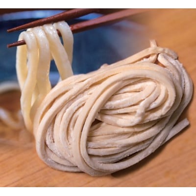 へじや製麺のうどん生麺10食セット 太麺タイプ つけ用特製だしつゆ付【配送不可地域:離島】【1637092】
