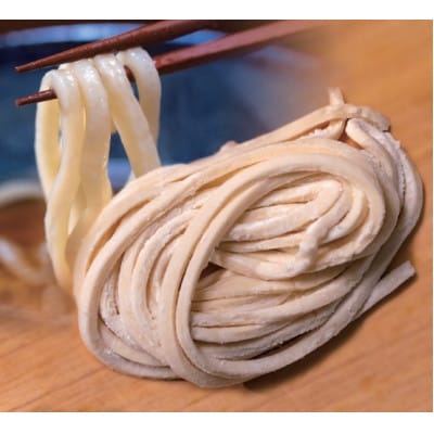 へじや製麺のうどん生麺10食セット 細麺タイプ ぶっかけ(温)用特製だしつゆ付【配送不可地域:離島】【1637098】