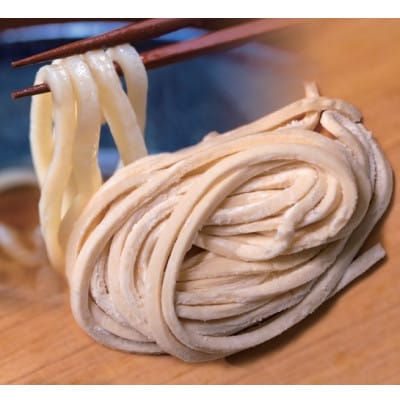 へじや製麺のうどん生麺10食セット 細麺タイプ ぶっかけ(冷)用特製だしつゆ付【配送不可地域:離島】【1637102】