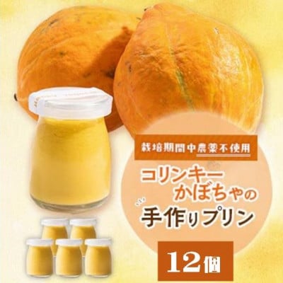 栽培期間中、農薬を使わず自家栽培した「コリンキーかぼちゃ」使用の手作りプリン　12個【配送不可地域：離島】【1670918】