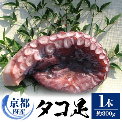 京都府産　タコ足　1本(冷凍:鮮度抜群真空パック)【共通返礼品】【配送不可地域：離島】【1045456】