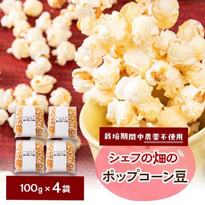 栽培期間中、農薬を使わず自家栽培 シェフの畑のポップコーン豆 100g×4袋(20食分)【1550980】