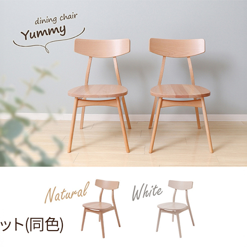 ダイニングチェア木製座面 Yummy plain(ヤミープレーン) 2脚セット 家具 インテリア