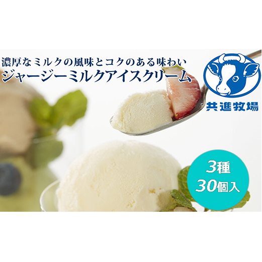 共進牧場 ジャージーミルクアイスクリーム 3種30個[ スイーツ アイス 濃厚 ] お菓子 デザート 希少 風味 コク 鮮度 牛乳 搾りたて 美味しい 