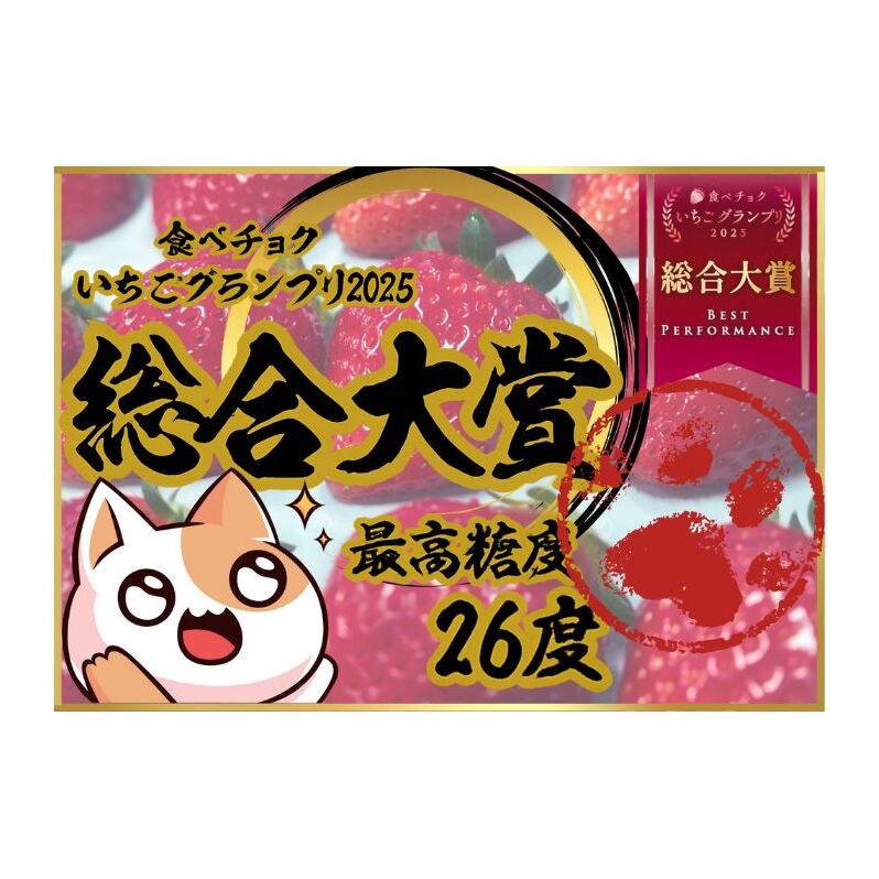 【予約受付】大粒いちご 15粒入りセット 2026年1月以降順次発送予定[ いちご イチゴ 苺 フルーツ 果物 新鮮 糖度 ] 果物類 