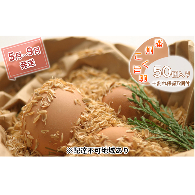 卵 播州こく旨卵 50個入り+割れ保証5個付 高級 たまご 鶏卵 高級卵 高級たまご ビタミンE ビタミン TKG 卵かけご飯 送料無料 冷蔵 冷蔵配送 兵庫 兵庫県 小野市 5月~9月発送