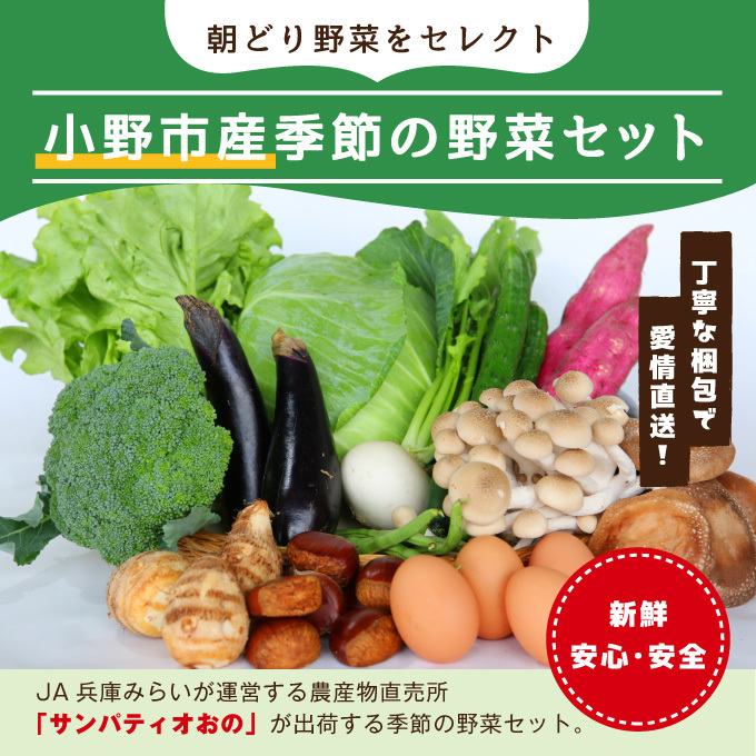 小野市産季節の野菜セット! 野菜類 詰合せ
