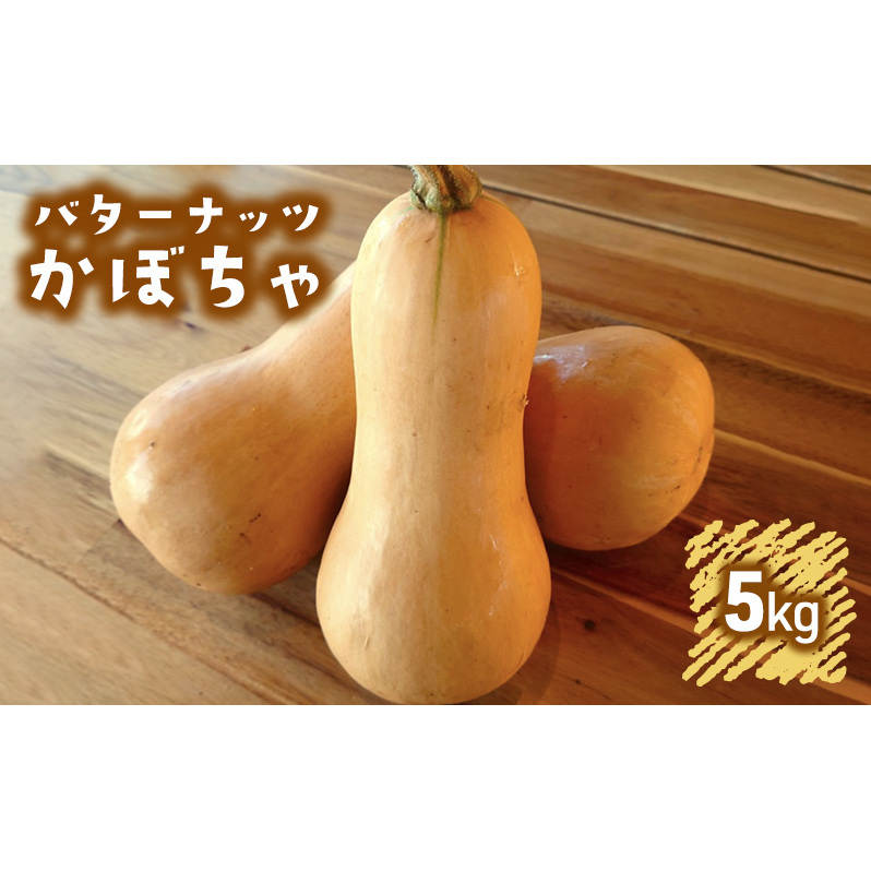 訳あり バターナッツかぼちゃ 5kgセット[ 不揃い かぼちゃ 野菜 ] 食材 国産 国産野菜 濃厚 甘み なめらか ねっとり 