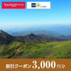 【群馬県川場村】一休.com・Yahoo!トラベル割引クーポン(3,000円分)【1157763】