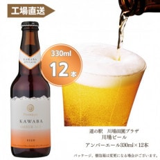 カワバエール　12本セット【1446340】