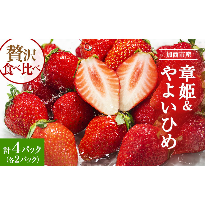 加西市産 いちご「章姫」「やよい姫」食べ比べ 4パックセット 果物 フル?ツ デザート 食後 おやつ 柔らかめ 酸味少なめ ジュージー 大粒 強い甘み 優しい酸味 フルーティー