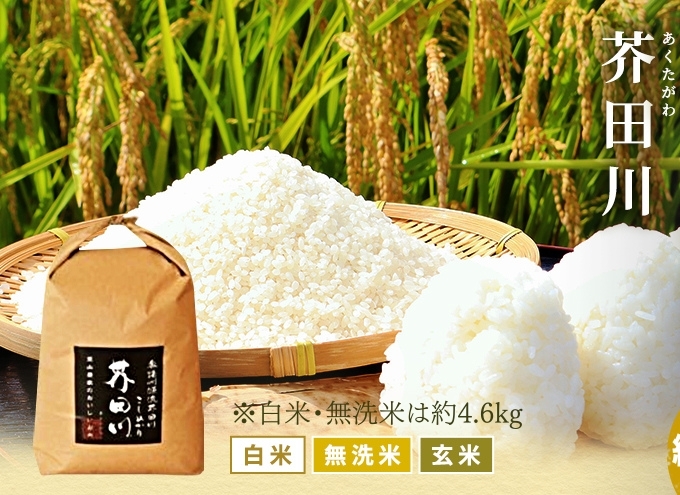 米 【令和7年産】 コシヒカリ 5kg精米 奥播州源流 芥田川産 芥田川 農家直送 5キロ 国産米 こしひかり  贈り物 喜ばれる お米ギフト おいしいお米 お祝い 内祝い 贈答 美味しい おいしい