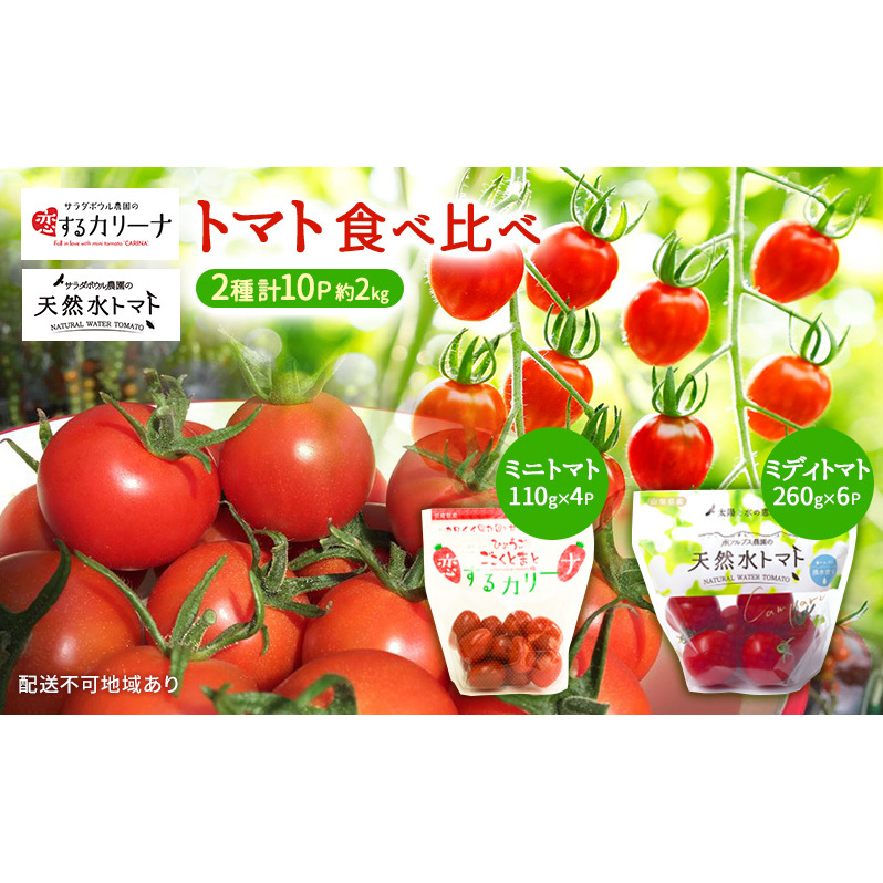 トマト 食べ比べ 2種 天然水トマト カリーナ 計10パック ミニトマト 兵庫県産 野菜 高品質 1箱 甘い あまい 夏野菜 糖度 お取り寄せ 