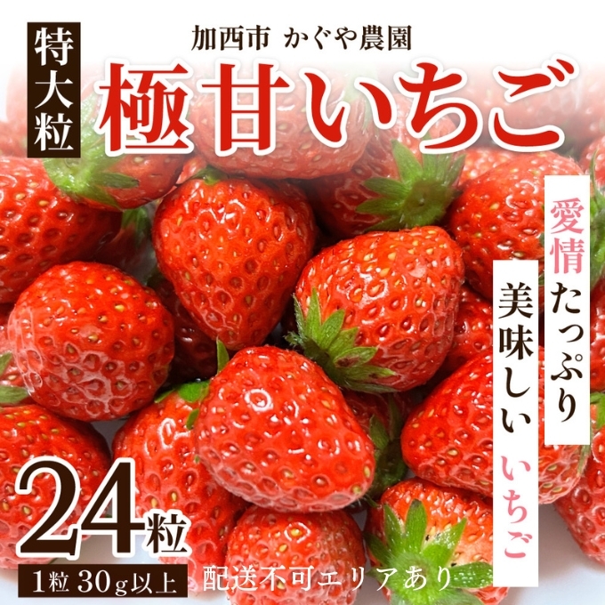 【令和7年産】 かぐや農園の極甘 いちご 特大粒 24粒 果物 フルーツ 果実 高設栽培方式 紅ほっぺ かおり野 ロマンベリー お楽しみ