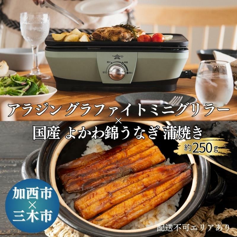 アラジン グラファイトミニグリラー グリーン 緑   国産 よかわ錦うなぎ 蒲焼き 約250g セット 詰め合わせ CAG-MG7AG うなぎ 鰻蒲焼 アラジングリル グラファイトグリラー ホットプレート 調理家電 家電 日用品 加西市 × 三木市