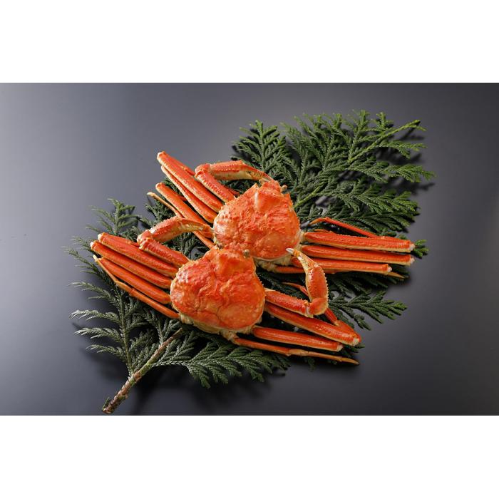 鳥取県産 訳あり茹で松葉がに2枚【中村商店】