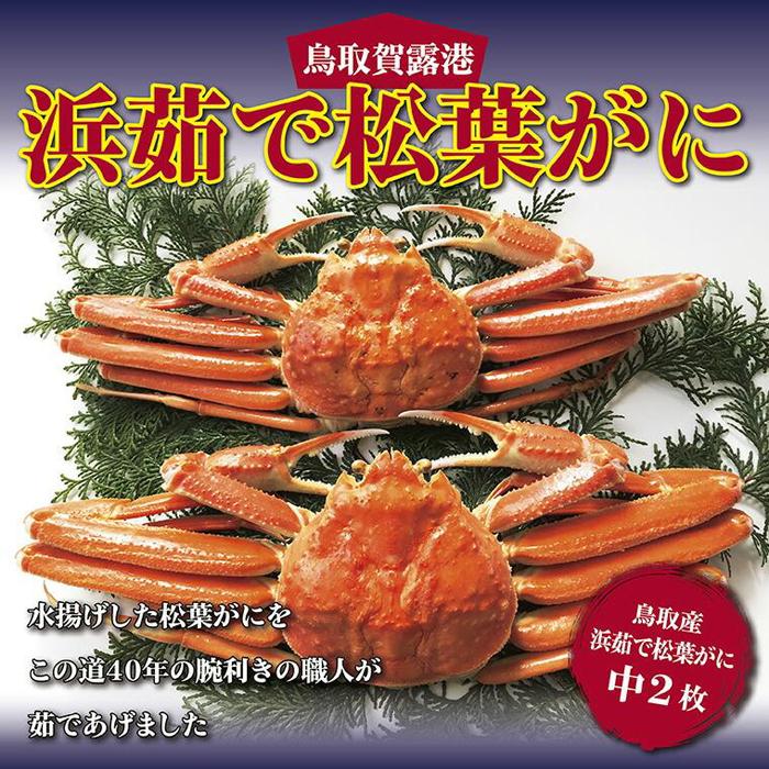 鳥取賀露港 浜茹で松葉がに【かねまさ・浜下商店】