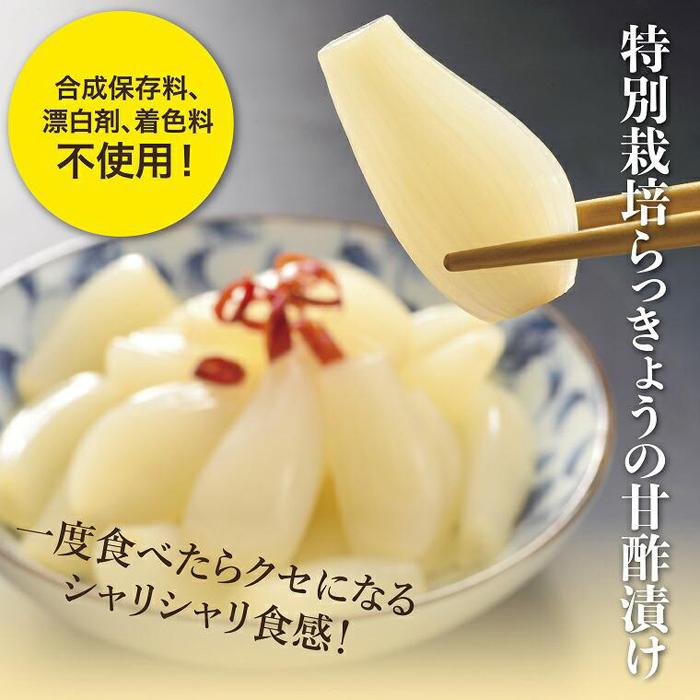 特別栽培らっきょうの甘酢漬(6袋セット)
