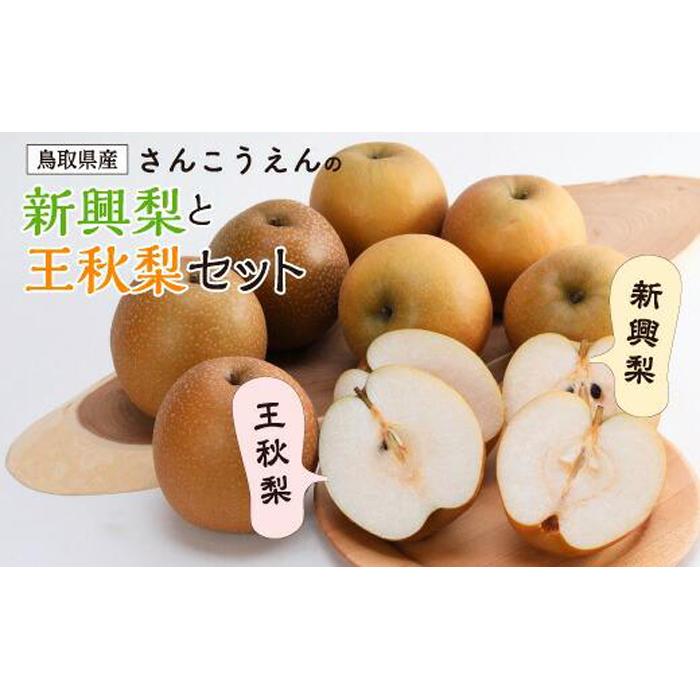 新興梨・王秋梨詰め合わせ 5kg箱 (玉数は合わせて約6~12玉)
