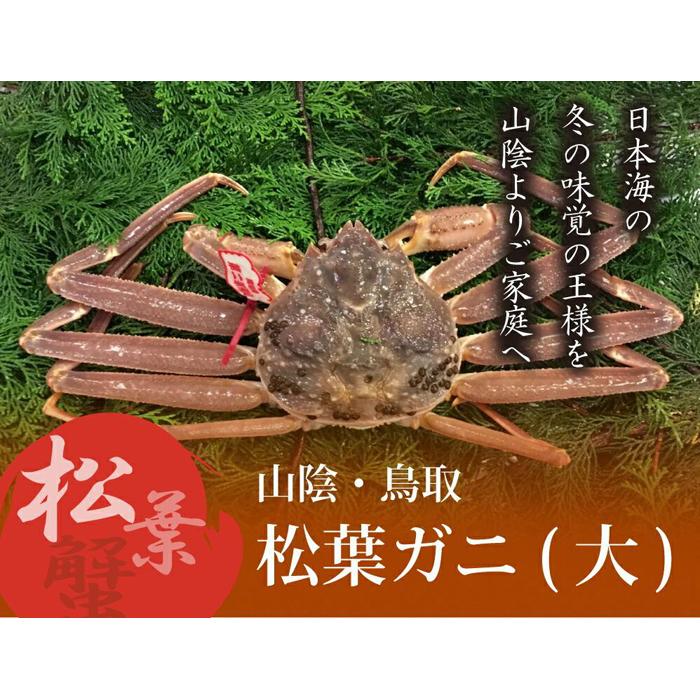特選とっとり松葉ガニ (大)【山根商店】