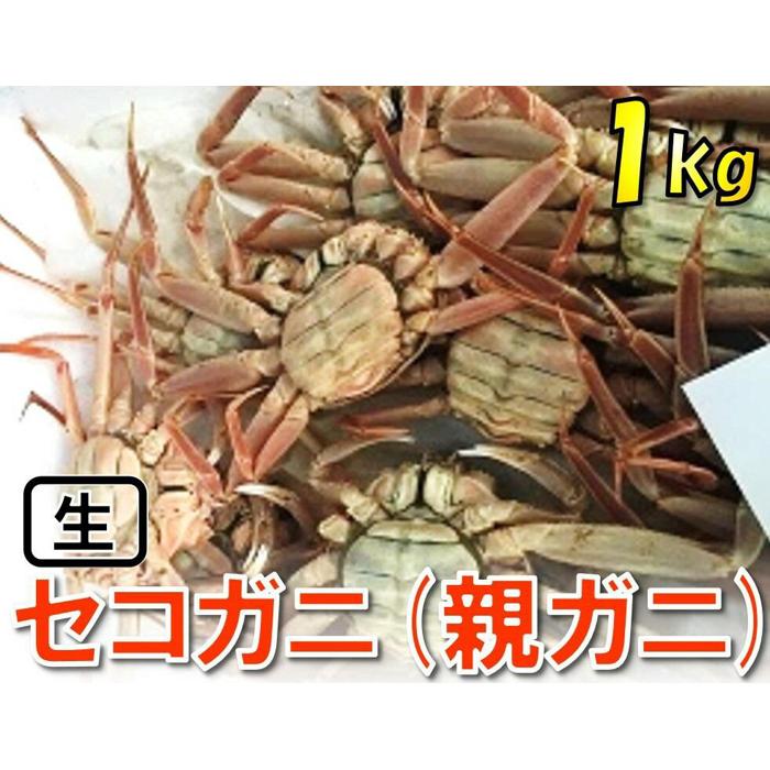 【魚倉】活お任せセコガニ 1kgセット