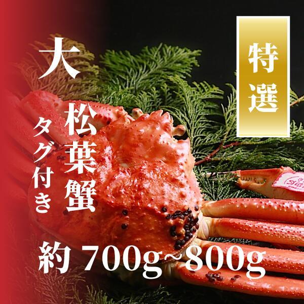【特選】松葉ガニ 大サイズ 約700g~800g タグ付(茹で)