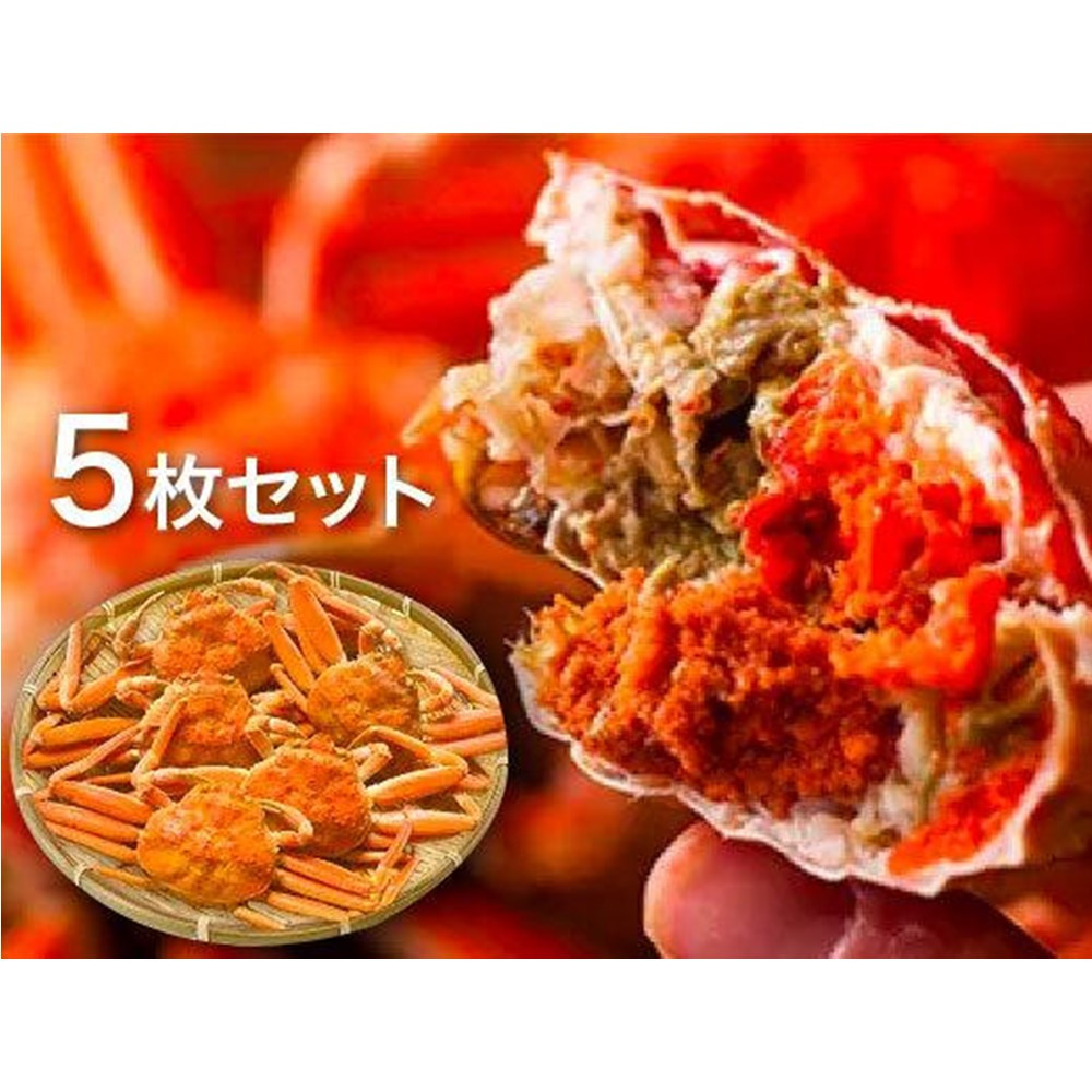 【特選】親がに(せこがに) 5枚セット (浜茹)