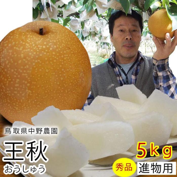 王秋梨 5kg 鳥取県産【フォーシーズン】