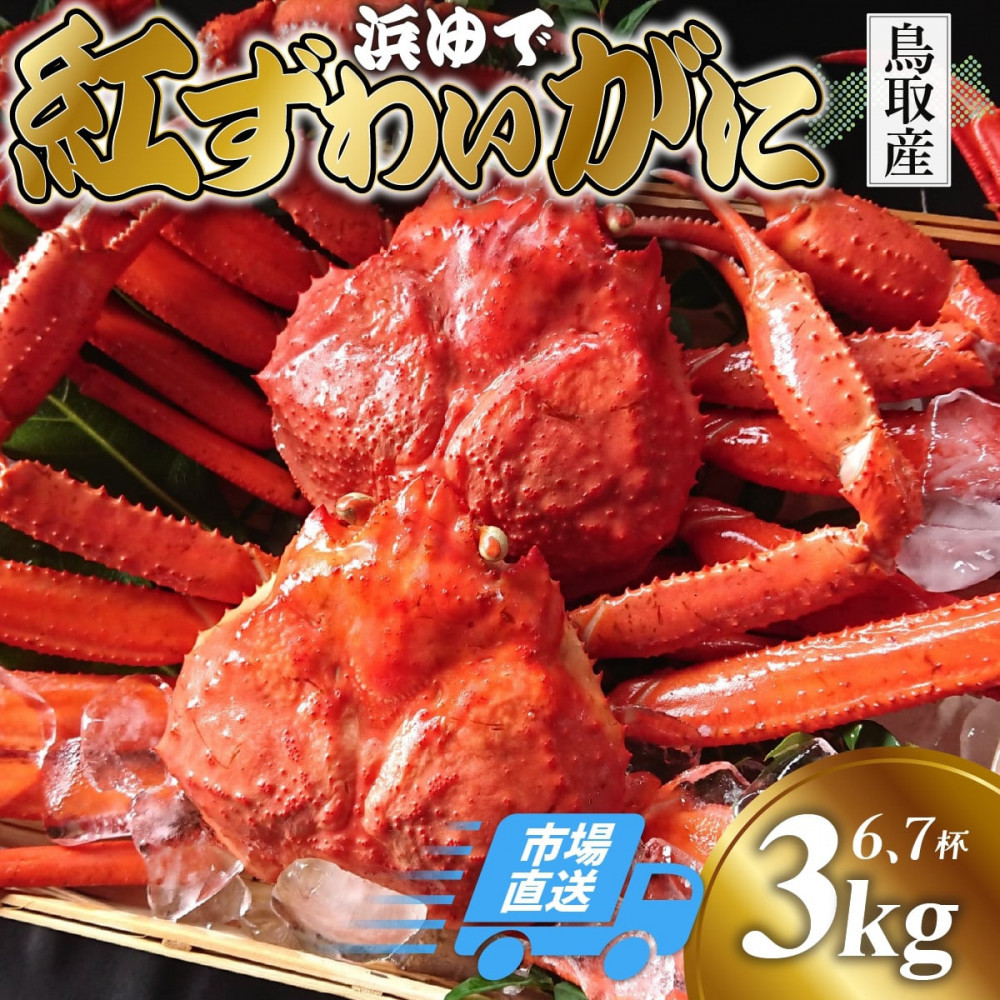 鳥取から直送! 釜茹で 紅ズワイガニ3kg(6~7杯) 未冷凍【ボイル】