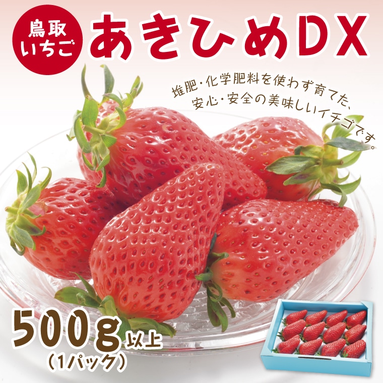 0377 あきひめDX 500ｇ【鳥取いちご】(とみハウス)の返礼品詳細 | JR 