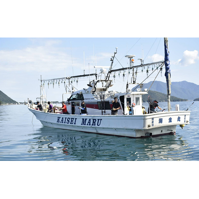 海生丸 釣り船乗船券（1名様　乗合便） チケット 