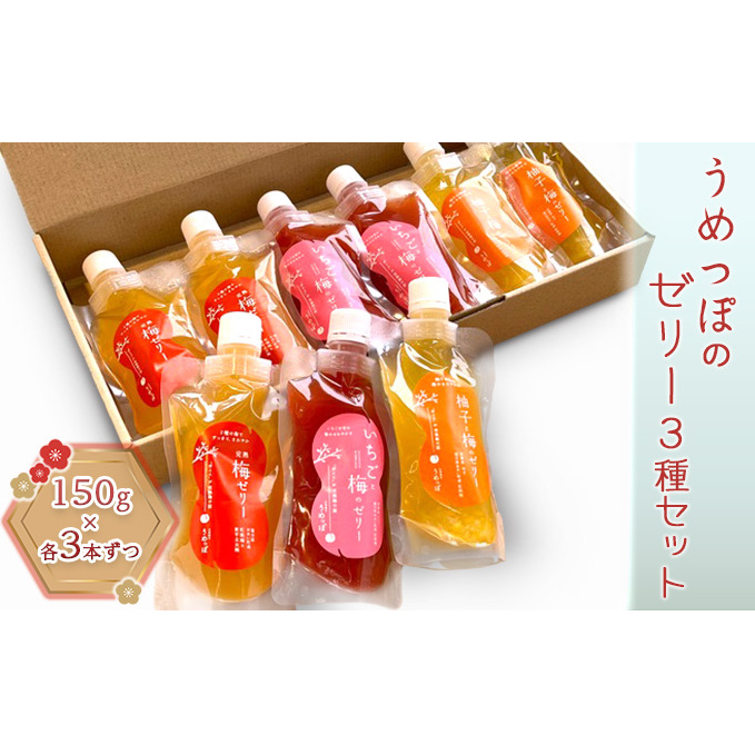うめっぽのゼリー3種セット9本入り　福井県おおい町産梅使用 お菓子 生菓子 スイーツ ひんやりスイーツ 涼 梅ゼリー 柚子 いちご ミックスゼリー 完熟梅ゼリー 食べ比べ 