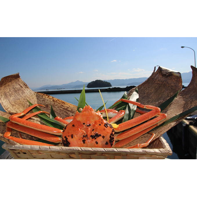 数量限定！おおい町大島の漁協直送【冷凍】越前ガニ（700g） 蟹 カニ 魚介類 