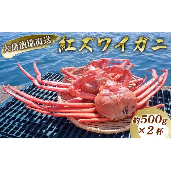 数量限定！福井県の大島漁協直送【ボイル冷凍】ベニズワイガニ（約500g）×2杯 魚介類 蟹 カニ ずわい蟹 ずわいガニ 