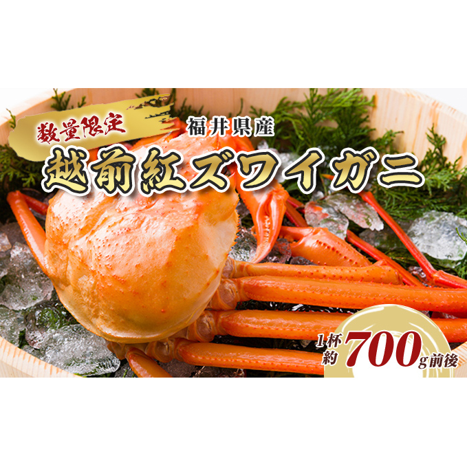 数量限定!福井県産 越前紅ズワイガニ 1杯約700g前後 海鮮 海の幸 甲殻類 お祝い 正月 年末年始 ボイル 急速冷凍 甘い みずみずしい 国産 