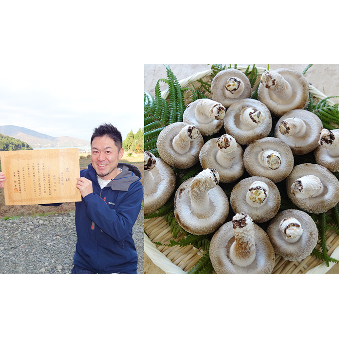 おーい菌床しいたけ2.5kg 野菜 きのこ 茸 キノコ シイタケ 椎茸 